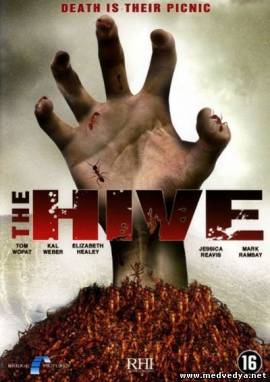  (the hive)