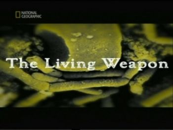 ng.   (the living weapon)