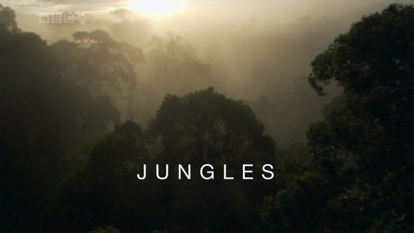 bbc.  .  (bbc. planet earth. jungles)