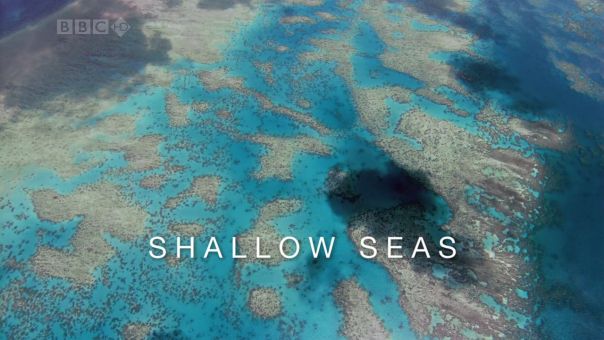 bbc.  .   (bbc. planet earth. shallow seas)