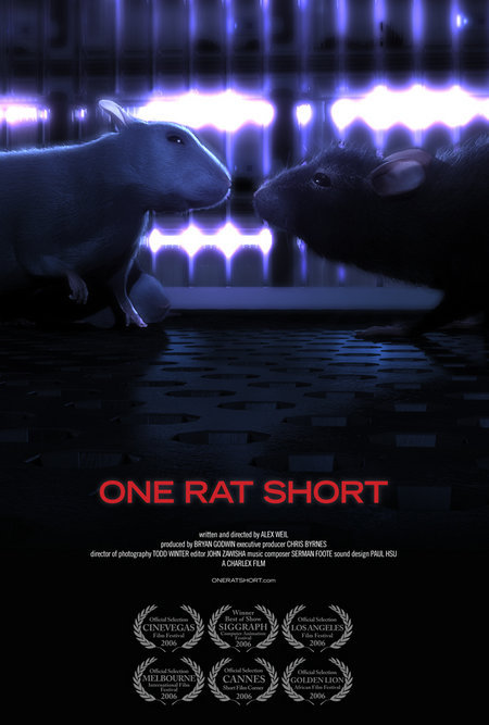  (one rat short)