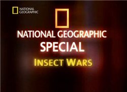 ng.   (insect wars)