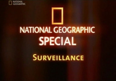 ng.    (surveillance)
