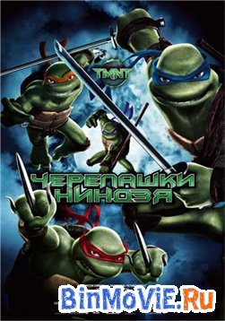   (teenage mutant ninja turtles)