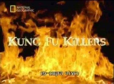 ng. -    (kung fu killers)