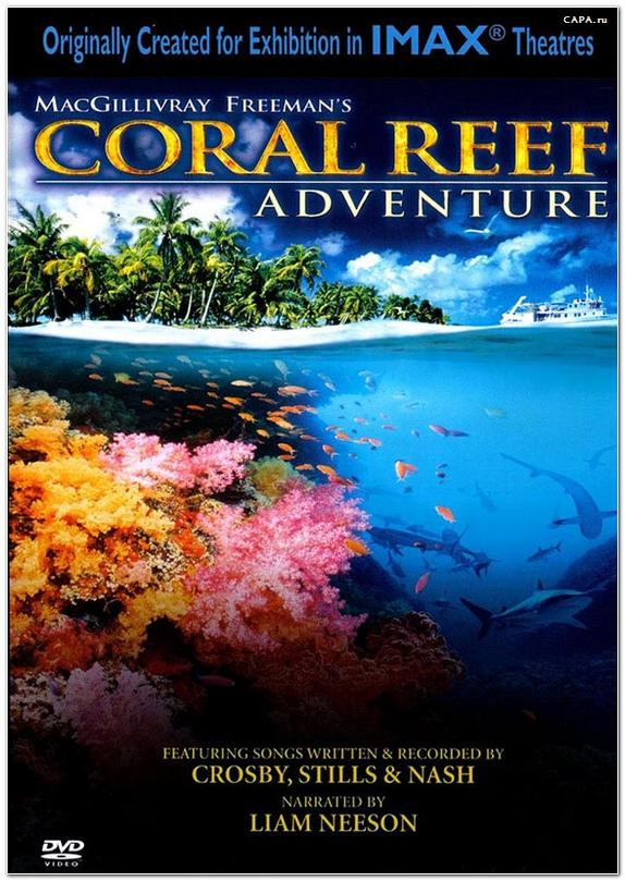     (coral reef adventure)