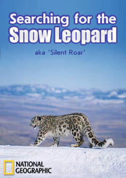 ng.     (searching for the snow leopard)