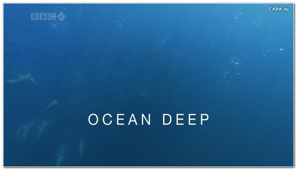 bbc.  .   (bbc. planet earth. ocean deep)
