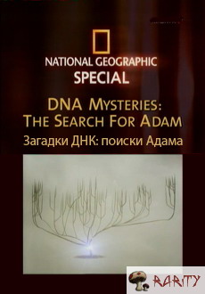 ng.   -   (ng. dna mysteries - the search for adam)
