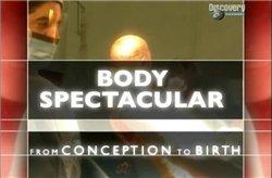 discovery.   -     (body spectacular - from conception to birth)